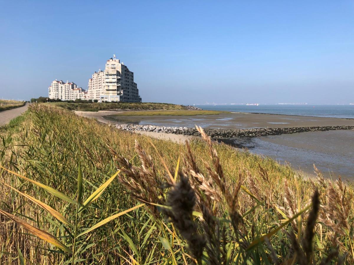 Appartement De Graanzolder Aan Zeeuwse Kust 霍夫德普拉特 外观 照片