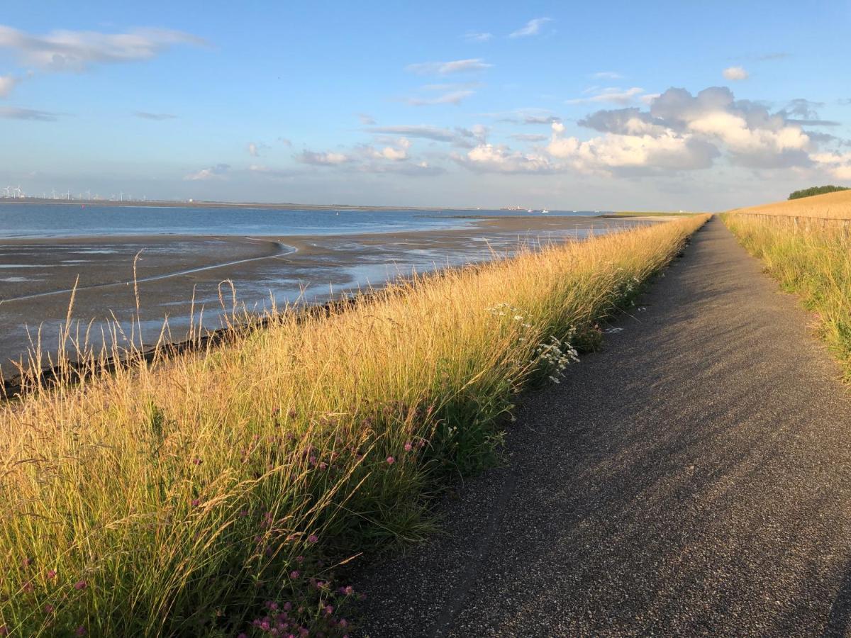 Appartement De Graanzolder Aan Zeeuwse Kust 霍夫德普拉特 外观 照片
