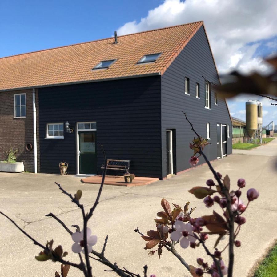 Appartement De Graanzolder Aan Zeeuwse Kust 霍夫德普拉特 外观 照片