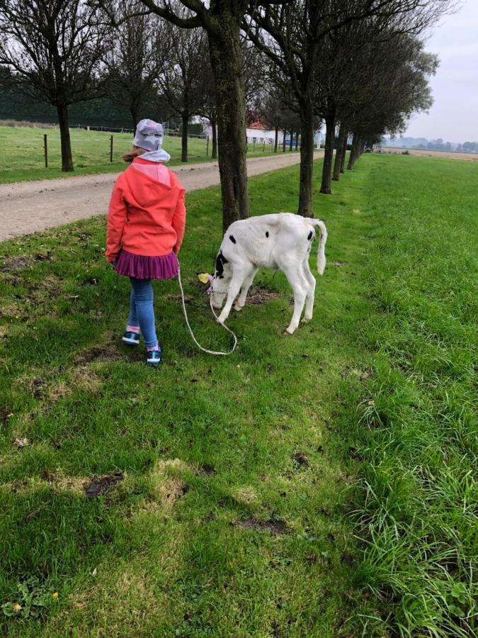 Appartement De Graanzolder Aan Zeeuwse Kust 霍夫德普拉特 外观 照片