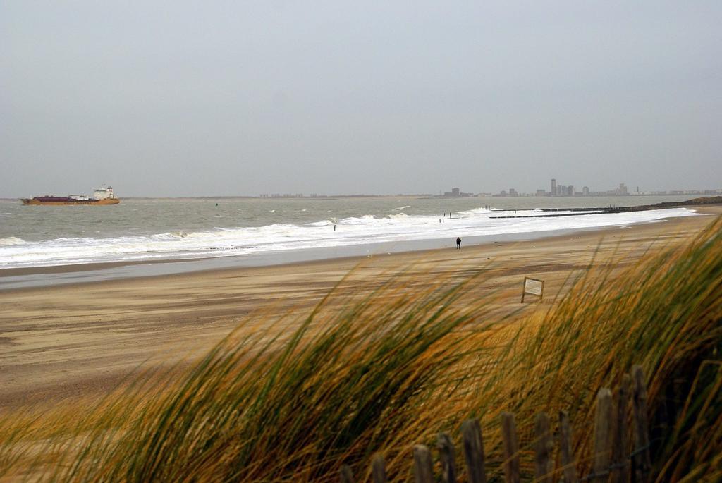 Appartement De Graanzolder Aan Zeeuwse Kust 霍夫德普拉特 外观 照片